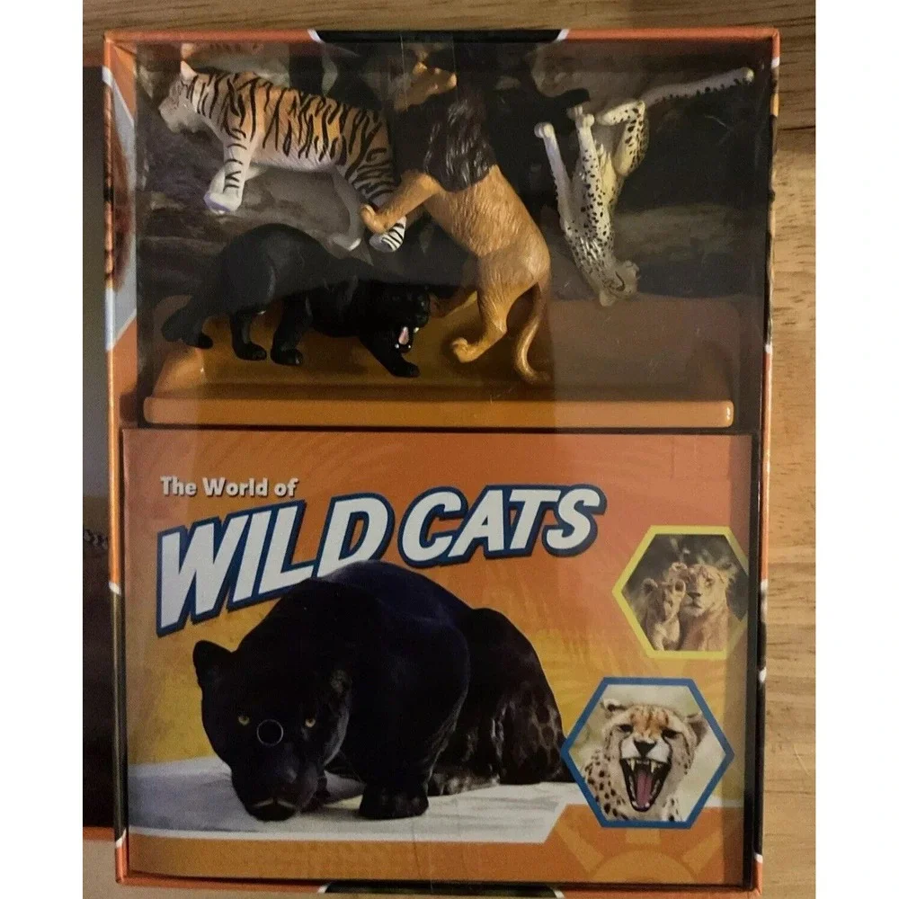 Pocket Explores Set Of 4 Book, Dinosaurs, Wild Cat,‎ Sharks, And Reptiles, 2021
